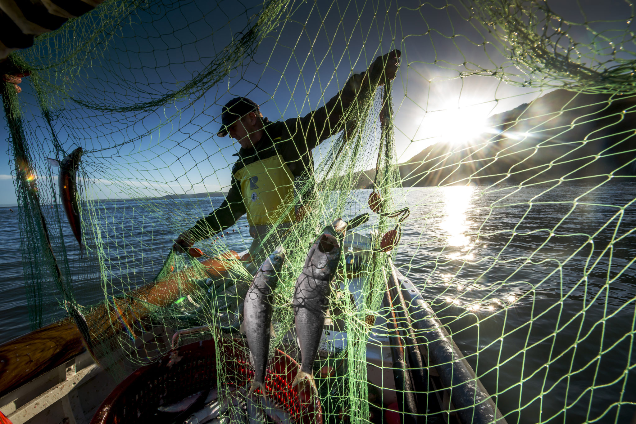 Herring Festival The Red Lion Hotel